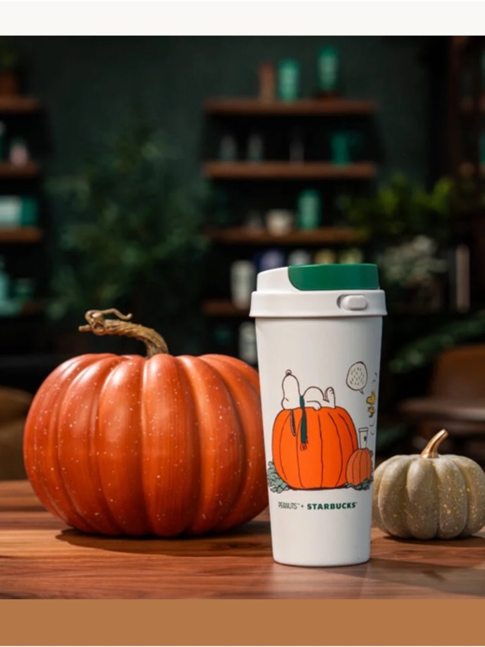 NWT Starbucks x Peanuts Great Pumpkin Exclusive Boxed Stainless Steel Tumbler